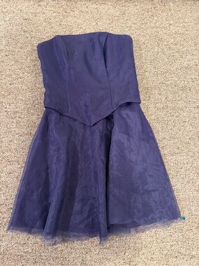 Raylia Designs Lilac Purple Strapless Dress